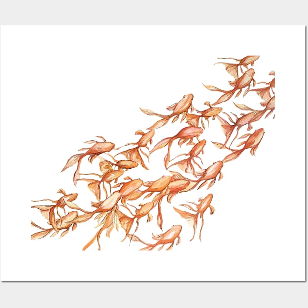 Goldfish from above Wall Art by HammerPenStudio
